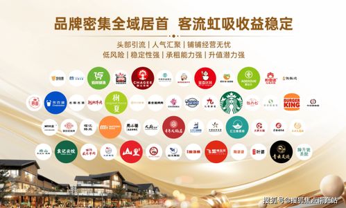 成都沁園世紀(jì)廣場(chǎng)旺鋪熱銷(xiāo)中 專(zhuān)業(yè)投資咨詢，助您搶占財(cái)富先機(jī)